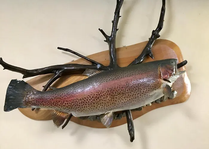 Atelsek Gasthuis Recica ob Savinji